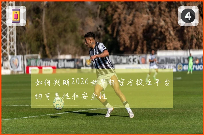 如何判断2026世界杯官方投注平台的可靠性和安全性
