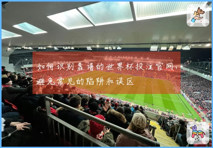 如何识别靠谱的世界杯投注官网，避免常见的陷阱和误区