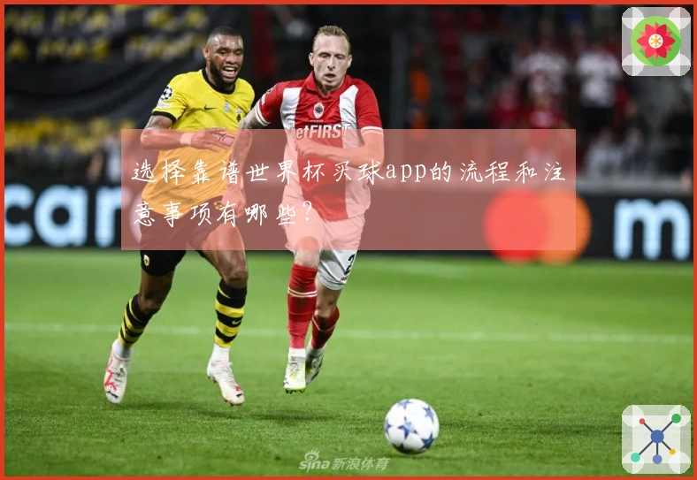 选择靠谱世界杯买球app的流程和注意事项有哪些？